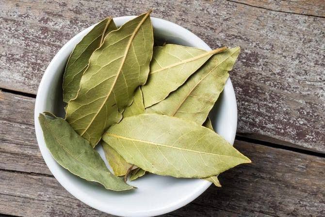 Ketahui Khasiat Daun Salam Si Bumbu Dapur Yang Baik Bagi Kesehatan Yesdok